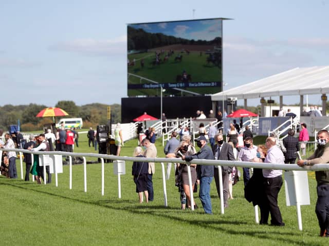 Lifeblood: BHA chair Annamarie Phelps says the decision to stop crowds returning to racecourses on October 1 is “devastating” for the sport. Picture: PA