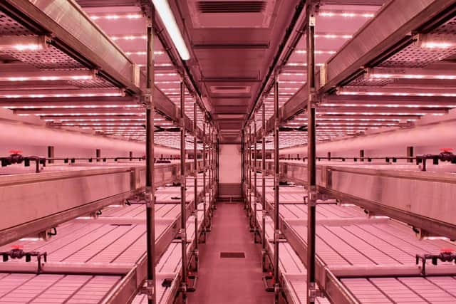 An industrial unit in Leyton has been converted into a 1,646 sq ft (of grow area) facility where herbs can be grown in perfect conditions across four levels.