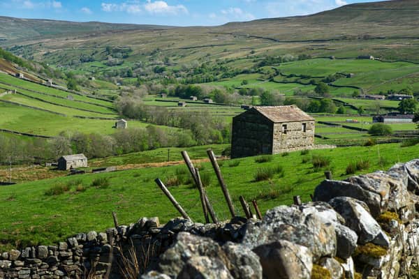 Stone walls and barns in Swaledale pictured from above Thwaite, in the Yorkshire Dales