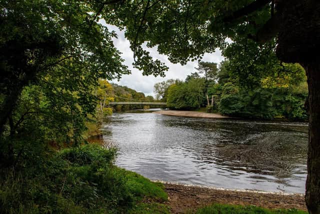 A section of the River Wharfe at Ilkley which is bidding to become the UK's first river with bathing water status. Image: Bruce Rollinson