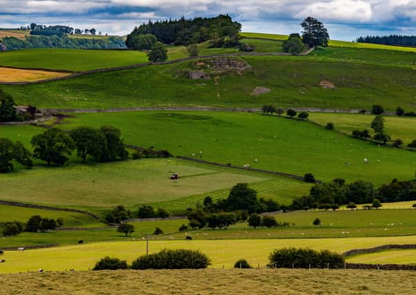 Richmondshire could see a 10-fold increase in new homes under the Government's planning reforms, it is claimed. Photo: James Hardisty.
