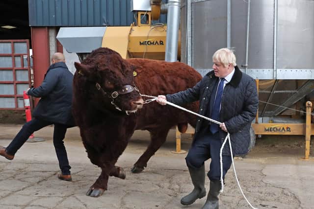 Boris Johnson's government is accused of compromising farming standards.