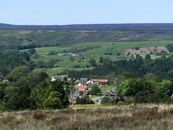 The North York Moors National Park is one of the UK's 'black spots' for raptor deaths and disappearances