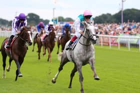 This was Frankie Dettori and Logician winning the 2019 Great Voltigeur Stakes at York.