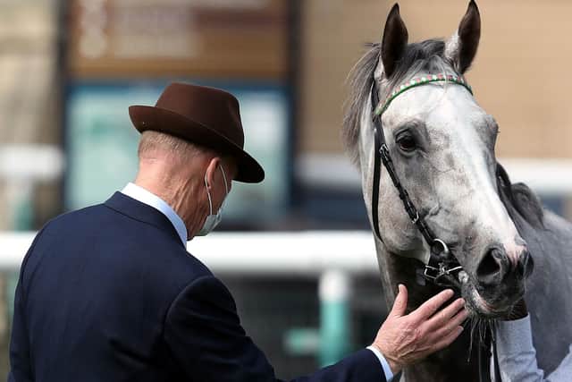 Champion trainer John Gosden examines Logician after the colt's winning comeback at Doncaster last month.