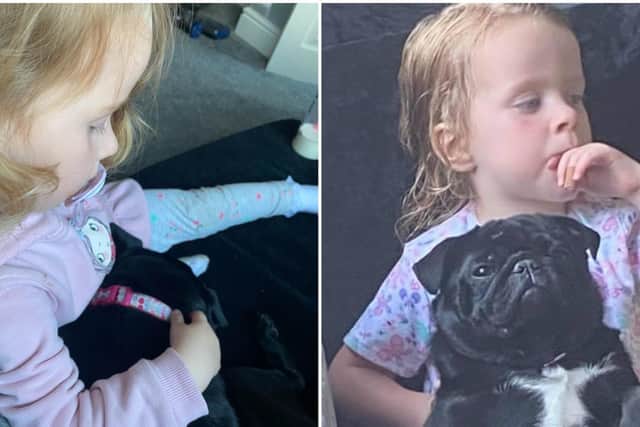 Three-year-old Ellieanna Addison relies on Lucy as an assistance dog due to living with a condition which means she is unable to properly speak