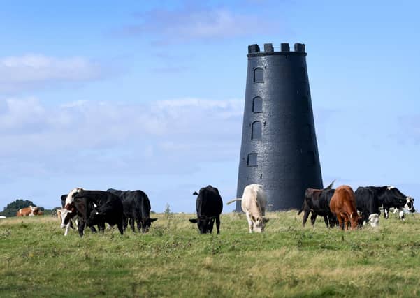Westwood Pasture, Beverley. Picture by Simon Hulme
