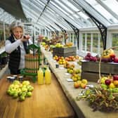 June Tainsh, garden manager at the Helmsley Walled Garden, presses apples in the glasshouse. Picture: Tony Johnson