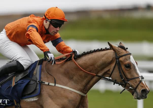 Sam Spinner is set to make his comeback from injury in Wetherby's Charlie Hall Chase.