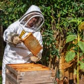 Keeping busy: Through the pandemic Anne Morley has taken on three chickens, started a vegetable plot and supported asylum seekers, as well as looking after her beehives. Picture: Ernesto Rogata