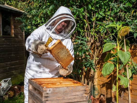 Keeping busy: Through the pandemic Anne Morley has taken on three chickens, started a vegetable plot and supported asylum seekers, as well as looking after her beehives. Picture: Ernesto Rogata