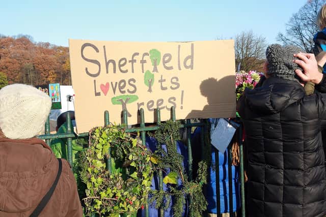 A new report has found Sheffield Council misled residents over its controversial tree-felling strategy. Picture: Glenn Ashley