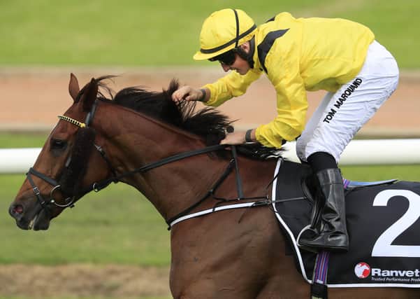 Tom Marquand and Addeybb win the Group One Ranvet Stakes in Sydney.