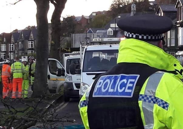Sheffield Council has this week been censured for its mishandling of the city's tree-felling scandal.