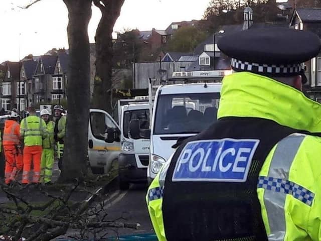 Sheffield Council has this week been censured for its mishandling of the city's tree-felling scandal.