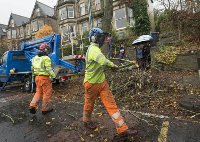 Members of the public look on as contractors cut down a tree in Rustlings Road on November 17, 2016. Picture: Danny Lawson/PA Wire