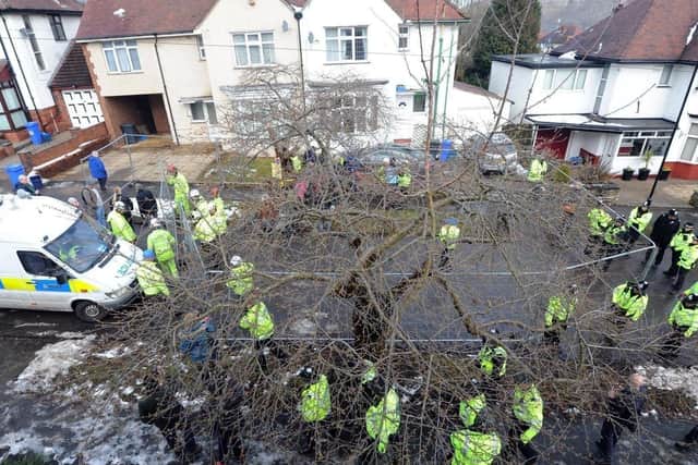 Sheffield's tree felling policy continues to cause controversy.