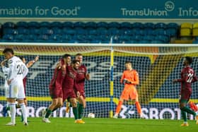 GOAL: Wolverhampton Wanderers players celebrate their winner