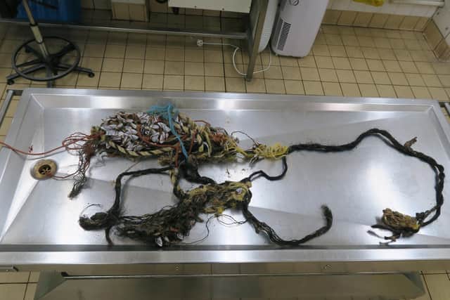 Around 4kg of plastic waste and fishing tackle was retrieved from the body (photo: CSIP/ZSL)