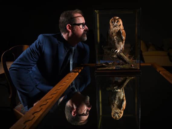 Expert Robbie Bright is pictured with a a cased tawny owl circa 1922-1930 by Roland Ward of London. Picture by Simon Hulme.