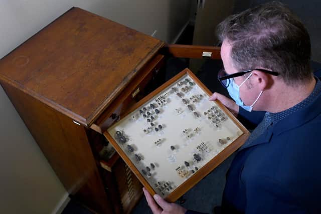 Robbie Bright is pictured with a a comprehensive collection of Beetles, Insects and Carabids collected by Dr D A Kendall, in a Watkins and Doncaster chest.