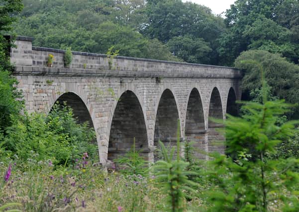 Nidd Gorge is popular with walkers and ramblers from Harrogate.