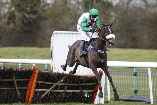 David Bass and Vinndication clear the last to win The Sidney Banks Memorial Novices' Hurdle at Huntingdon back in 2018. Picture: Alan Crowhurst/Getty Images.