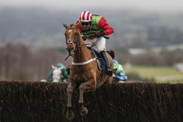 Definitly Red's past wins include the 2018 Cotswolds Chase at Cheltenham.