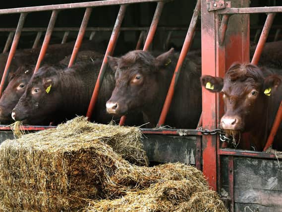 The Agriculture Bill returns to the Commons next week for MPs to re-vote on amendments made by the House of Lords.