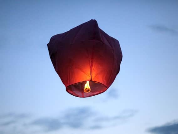 Sky lanterns can cause injury to livestock and wildlife when they fall back to the ground.
