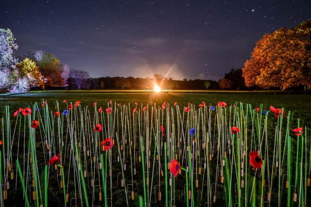 A field of red poppies ahead of this year's season of remembrance. Photo: Ben Birchall/PA Wire
