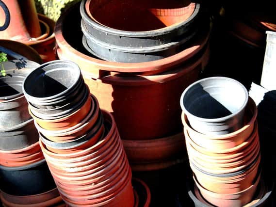 Make sure pots are cleaned and kept dry.