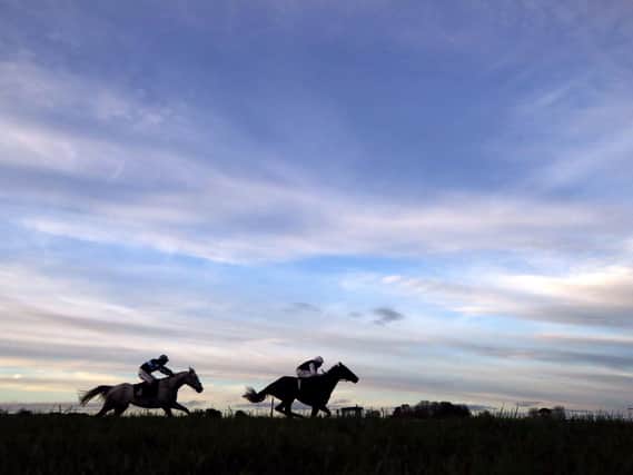 RUNNERS AND RIDERS: Horses on the course at Wetherby. Picture: Tim Goode/PA Wire.