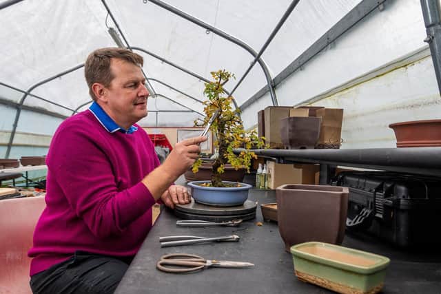 Richard Reah, owner of the North of England Bonsai, based near Easingwold, North Yorkshire. Images and video: James Hardisty