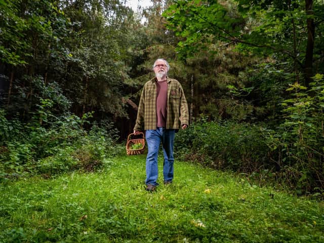 Chris Bax runs foraging courses in the Yorkshire countryside