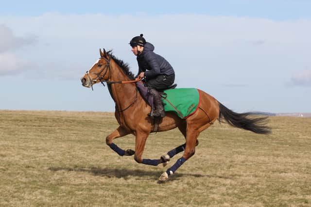 Sam Spinner and Joe Colliver on the Middleham gallops. Photo: Phill Andrews.