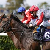 Rowan Scott riding Ubettabelieveit (right) win The Bombardier Flying Childers Stakes during day three of the William Hill St Leger Festival at Doncaster. They now line up at the Breeders Cup this Friday.