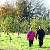 Veterans Janet and Terry Mitchell, on Garrowby Orchard in Hull, the proposed site for the Veterans Village Picture: Gary Longbottom