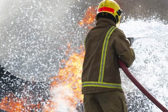 Two cats and a dog were killed in a fire started by a firework on Thursday night, Humberside Fire & Rescue Service has said