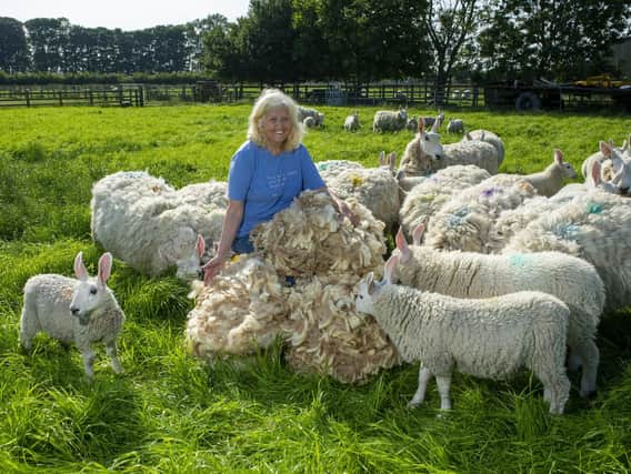 Ellie has a 'no slaughter' flock which have inspired a yarn business and new book