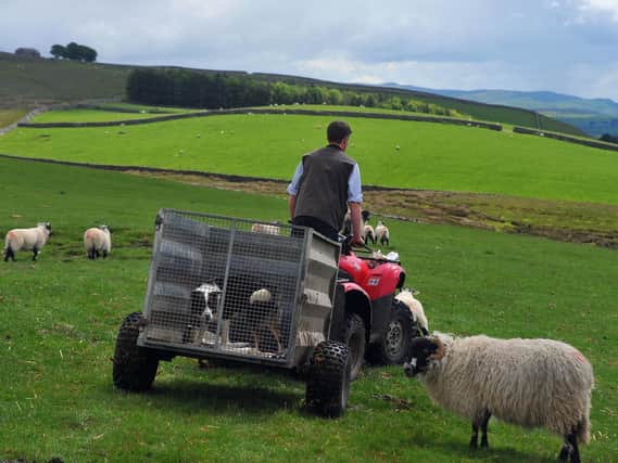 The theft of vehicles from farmers such as quad bikes can have devastating financial implications