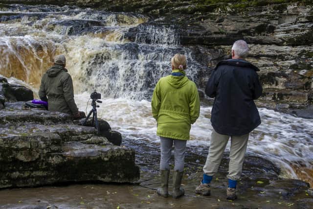 Stainforth Force, near Settle, is a popular spot to watch leaping salmon in the Ribble who have swum up from the Irish Sea