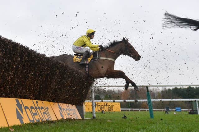 Lostintranslation and Robbie Power clear a fence in last year's Betfair Chase.
