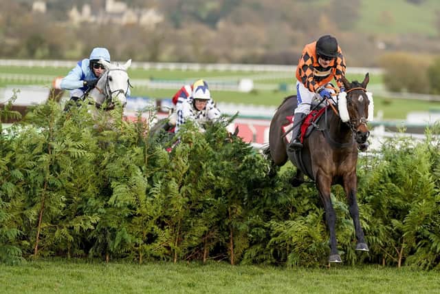 Tom Scudamore and Kingswell led from start to finish in the Cross Country Chase at Cheltenham in which dual Grand National hero Tiger Roll was pulled up.