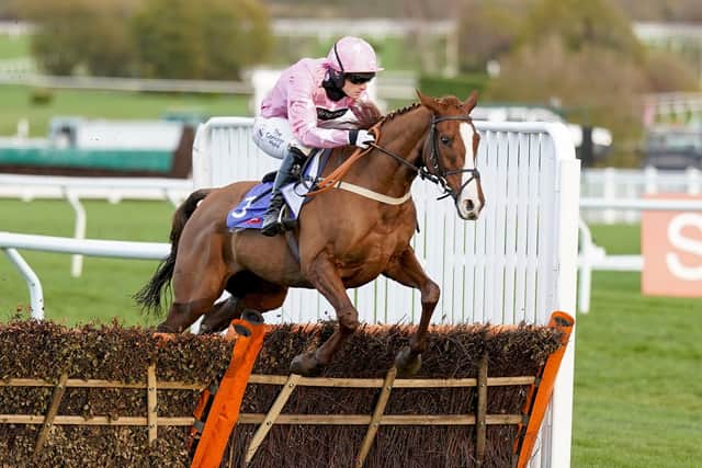 This was Harry Bannister winning a novice hurdle at Cheltenham on For Pleasure.