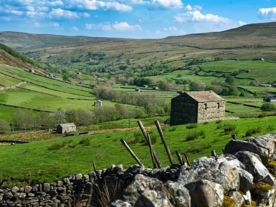 Stone walls and barns in Swaledale pictured from above Thwaite. (Picture: Tony Johnson_