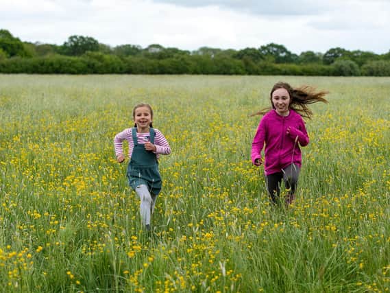 Lotte and Mia run through buttercups in one of the fields that can now become Long Lands Common. Image: Bruce Rollinson