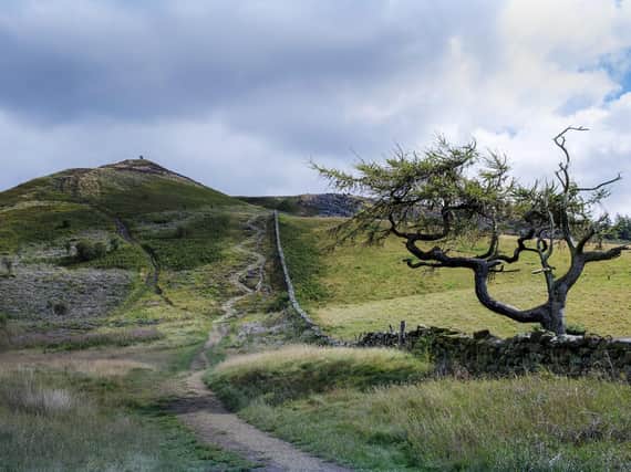 The footpath leading up Little Roseberry from Roseberry Topping in the North York Moors National Park. August 24, 2020. Technical information: Fujifilm X-T3 camera with a 23mm lens, exposure of 1/300th second at f9, ISO 160. Picture: Ian Day