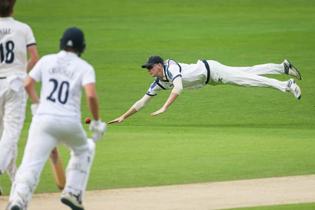 Full stretch for full pay - Yorkshire's Harry Brook dives for a catch. (Picture: SWPix.com)