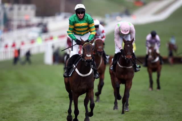 This was Epatante winning the Champion Hurdle under the now retired Barry Geraghty.